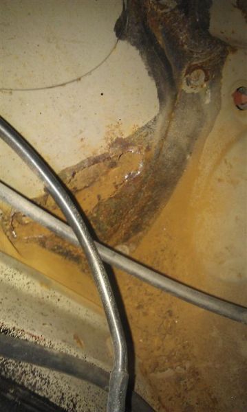 IMAG0107 (Large).jpg