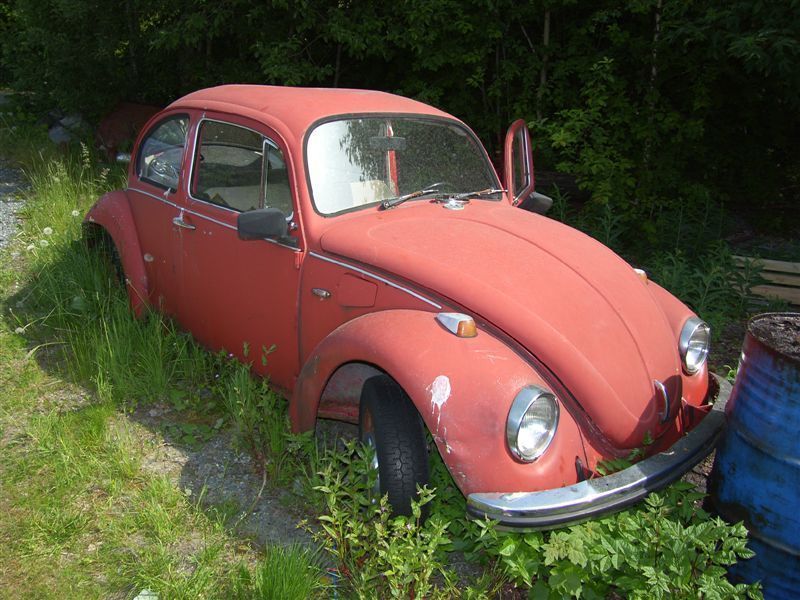 vw1.JPG
