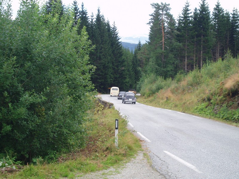 P1010011.jpg