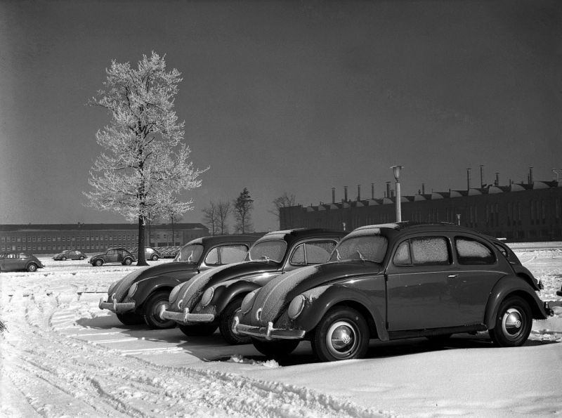 kaefer-wob-im-winter.jpg