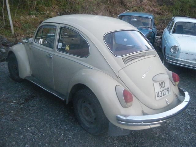DSCF0979 (Small).JPG