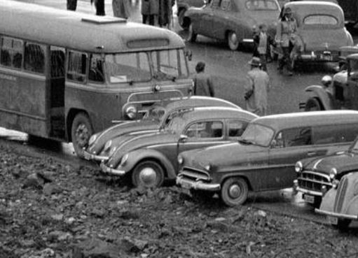 vw1.jpg