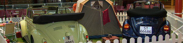 utst-7.jpg