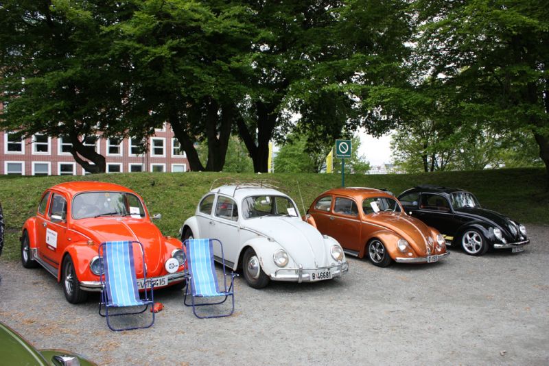 stvgcars.jpg