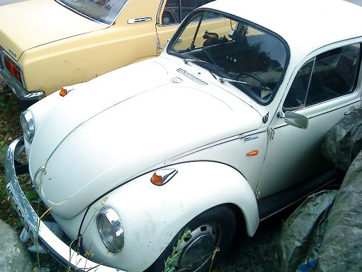 5365870_520x0.jpg