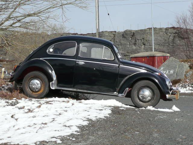 P1010100.JPG