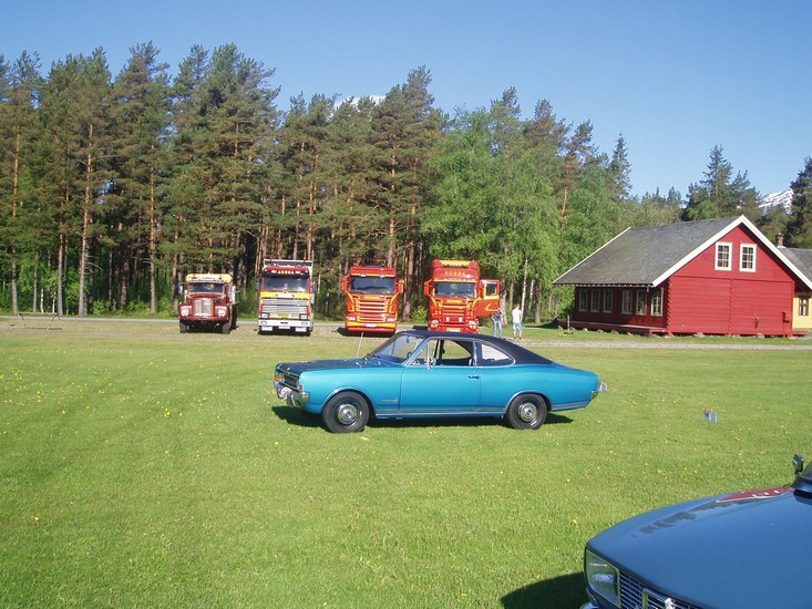 P1018524.jpg