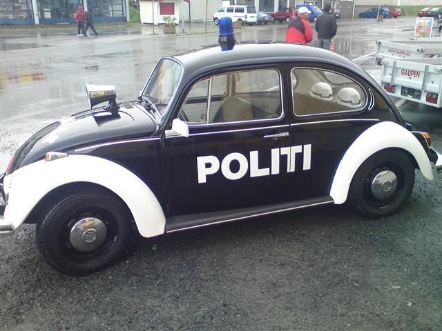 DSC01471 (Small).JPG