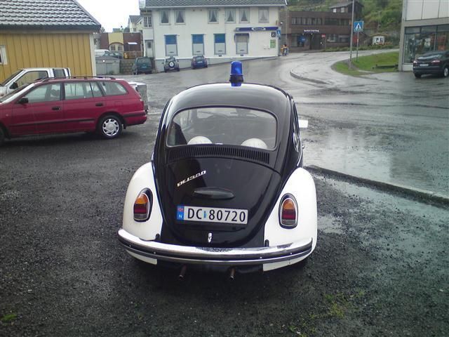 DSC01473 (Small).JPG