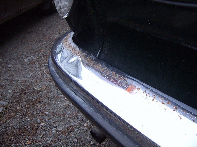 SUC50051 [800x600].JPG