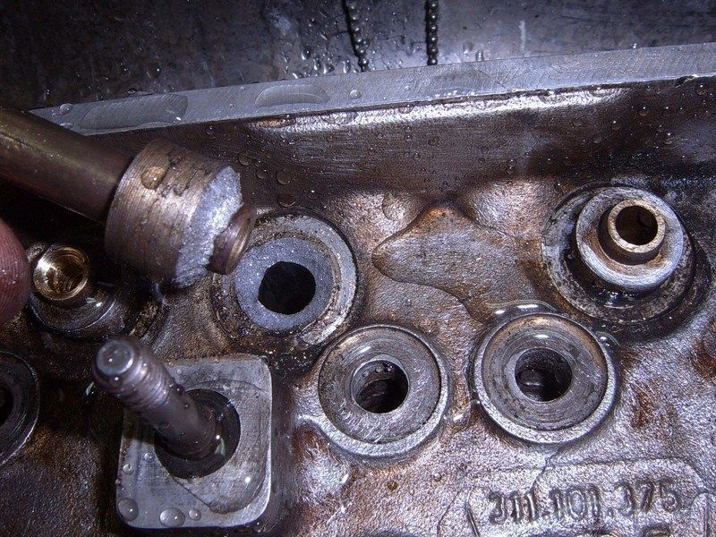 SUC50078 [800x600].JPG