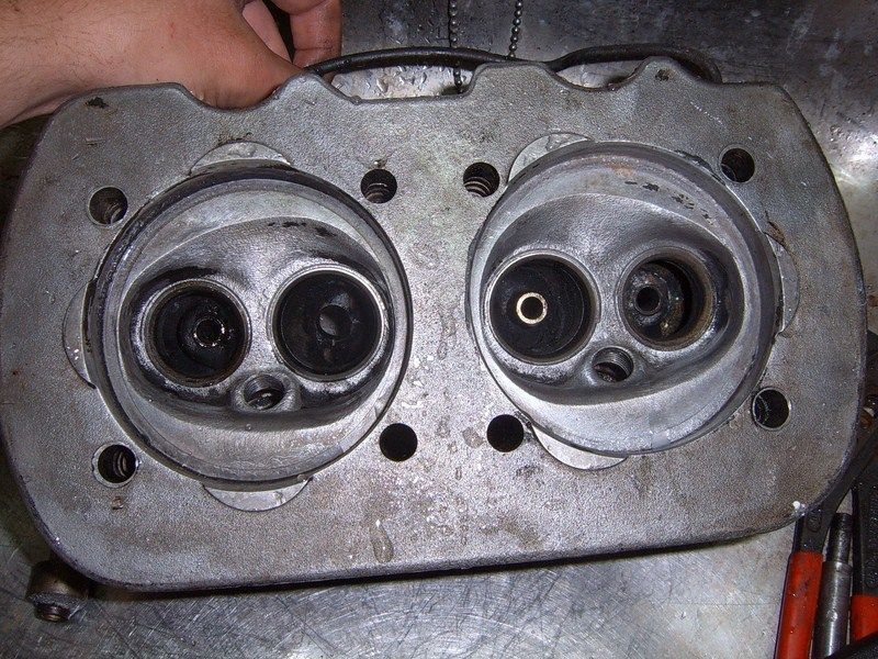SUC50081 [800x600].JPG