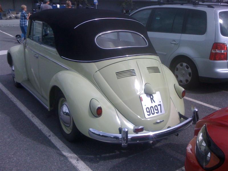 IMG_0693 (Medium).jpg