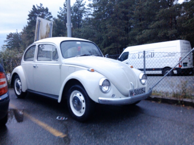 IMG_20110826_205421 [800x600].jpg